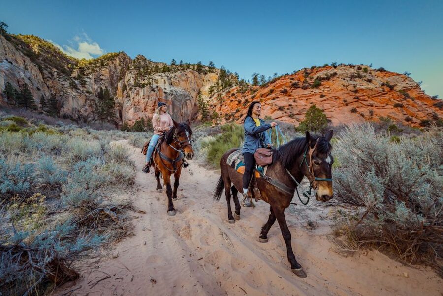 Orderville: East Zion Park White Mountain Horseback Tour - At a Glance: The White Mountain Ride