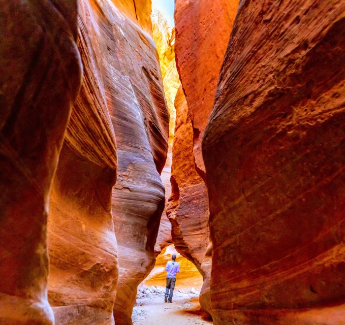 Orderville: East Zion Park White Mountain Horseback Tour - Starting at the Corrals in Orderville