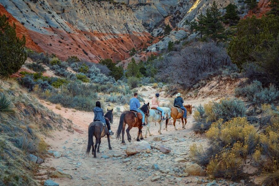 Orderville: East Zion Park White Mountain Horseback Tour - Should You Book the White Mountain Horseback Tour?