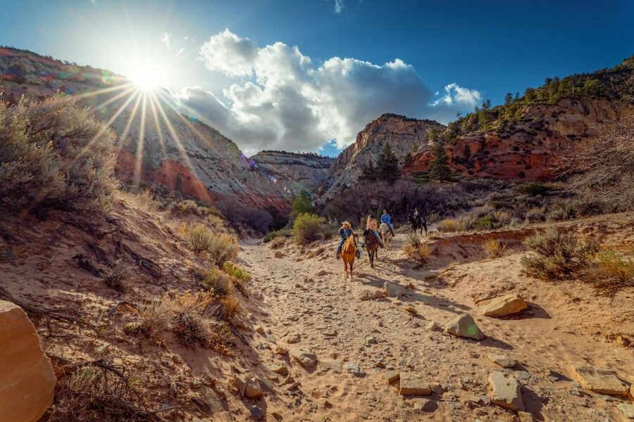 Orderville: East Zion Park White Mountain Horseback Tour - A Gentle First Lesson for New Riders