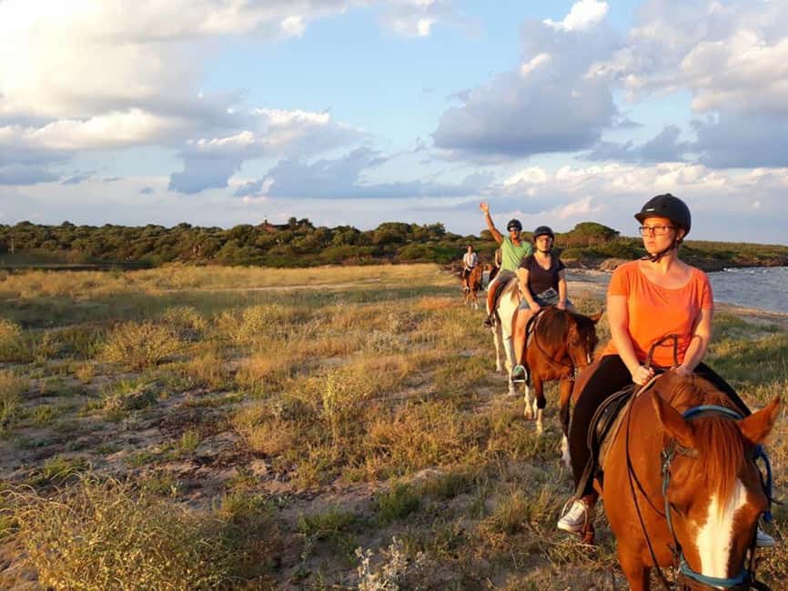Orosei: horse riding on the beach - Key points to know before you saddle up