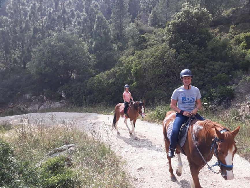 Orosei: horse riding on the beach - Booking, cancellations, and the small practical details
