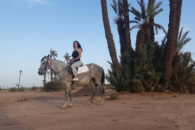Palmeraie Grove Horse Ride 2 Hour Trip with Transfer - Marrakesh - Key points to know before booking