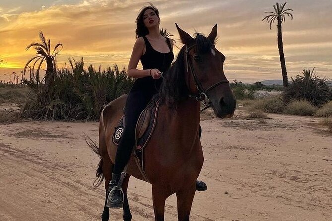 Palmeraie Grove Horse Ride 2 Hour Trip with Transfer - Marrakesh - Meeting the horses and getting ready