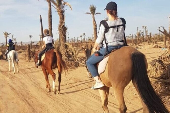 Palmeraie Grove Horse Ride 2 Hour Trip with Transfer - Marrakesh - The tea break after the ride