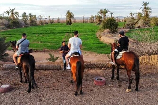 Palmeraie Grove Horse Ride 2 Hour Trip with Transfer - Marrakesh - How much value do you get for the price?