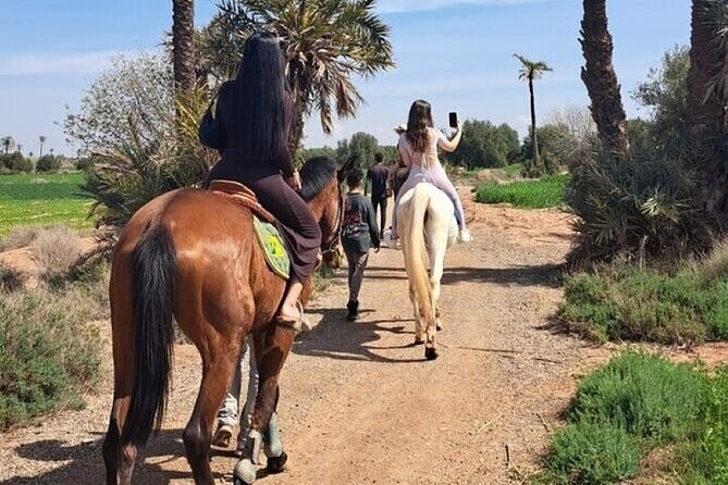 Palmeraie Grove Horse Ride 2 Hour Trip with Transfer - Marrakesh - Who will enjoy this ride most?