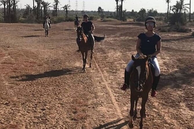 Palmeraie Grove Horse Ride 2 Hour Trip with Transfer - Marrakesh - Practical details that shape the day