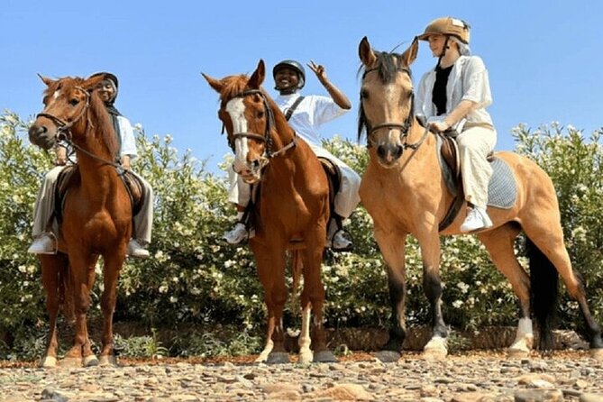 Palmeraie Grove Horse Ride 2 Hour Trip with Transfer - Marrakesh - Two hours beneath the Palmeraie palms