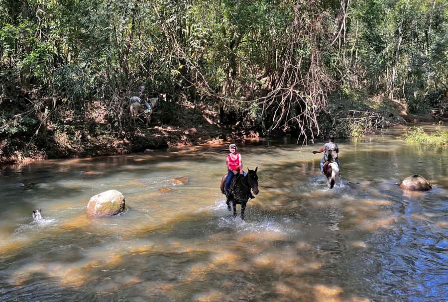Paraty: 3-Hour Rainforest Horseback Ride - Key points before you saddle up