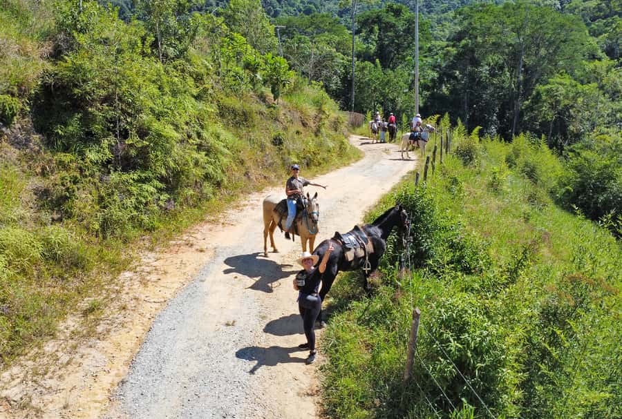 Paraty: 3-Hour Rainforest Horseback Ride - Booking details that matter