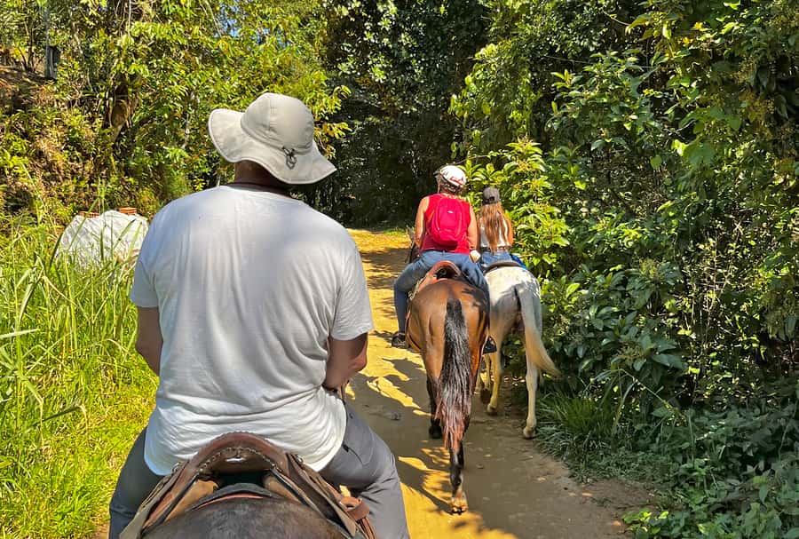 Paraty: 3-Hour Rainforest Horseback Ride - Leaving Paraty for the Pedras Azuis trail