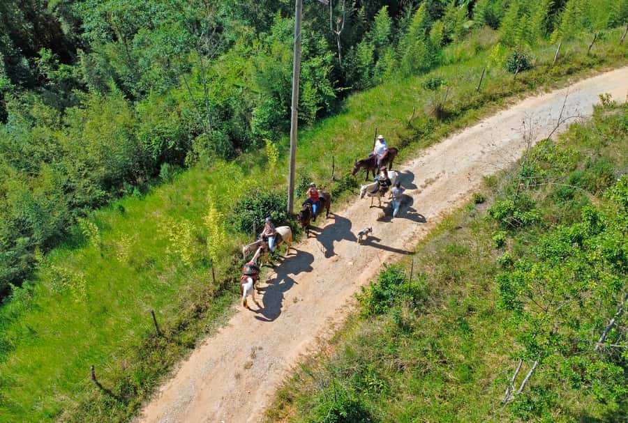 Paraty: 3-Hour Rainforest Horseback Ride - Riding beside Serra da Bocaina National Park