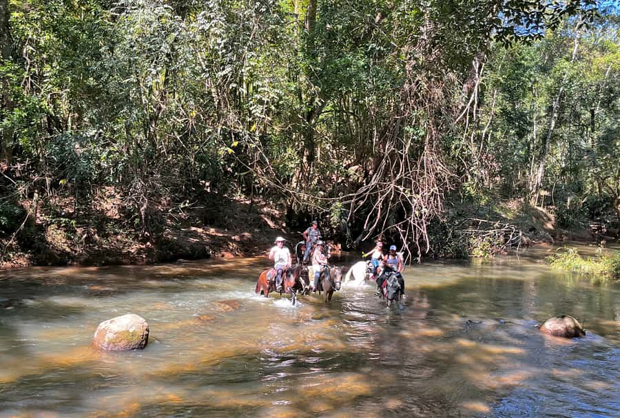 Paraty: 3-Hour Rainforest Horseback Ride - Waterfalls and the bathing stop