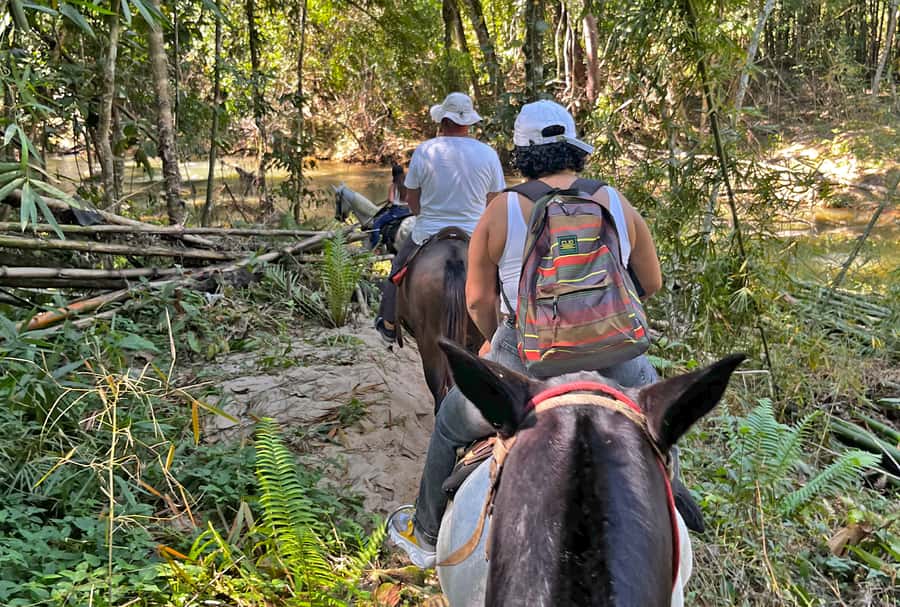 Paraty: 3-Hour Rainforest Horseback Ride - The lookout over Paraty Bay
