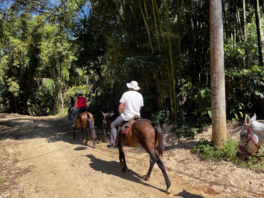 Paraty: 3-Hour Rainforest Horseback Ride - Is $120 good value for three hours?