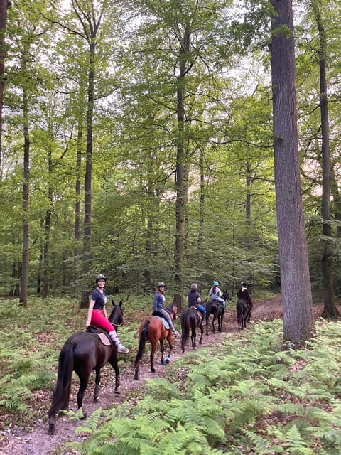 Paris: Aumont-en-Halatte Horseback Riding Tour - Who will enjoy this ride most