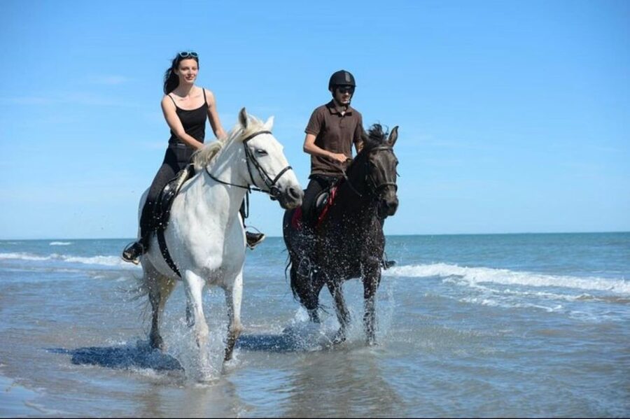 Paros: Morning Island Horseback Riding Adventure - A quiet start in Paroikia at 9:00 a.m.
