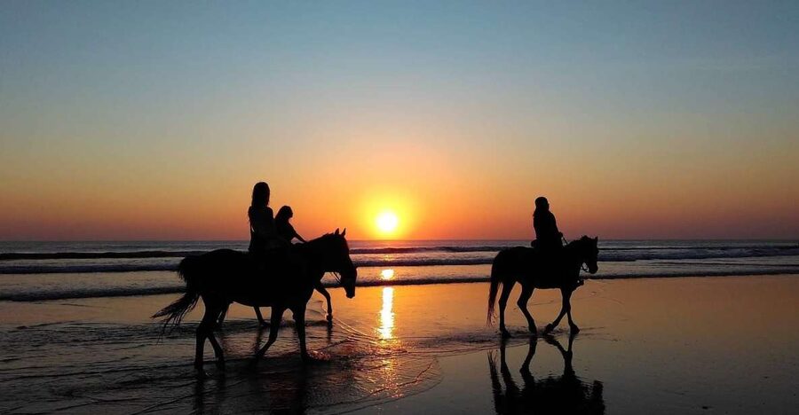 Paros: Morning Island Horseback Riding Adventure - Getting to know the horses before the trail