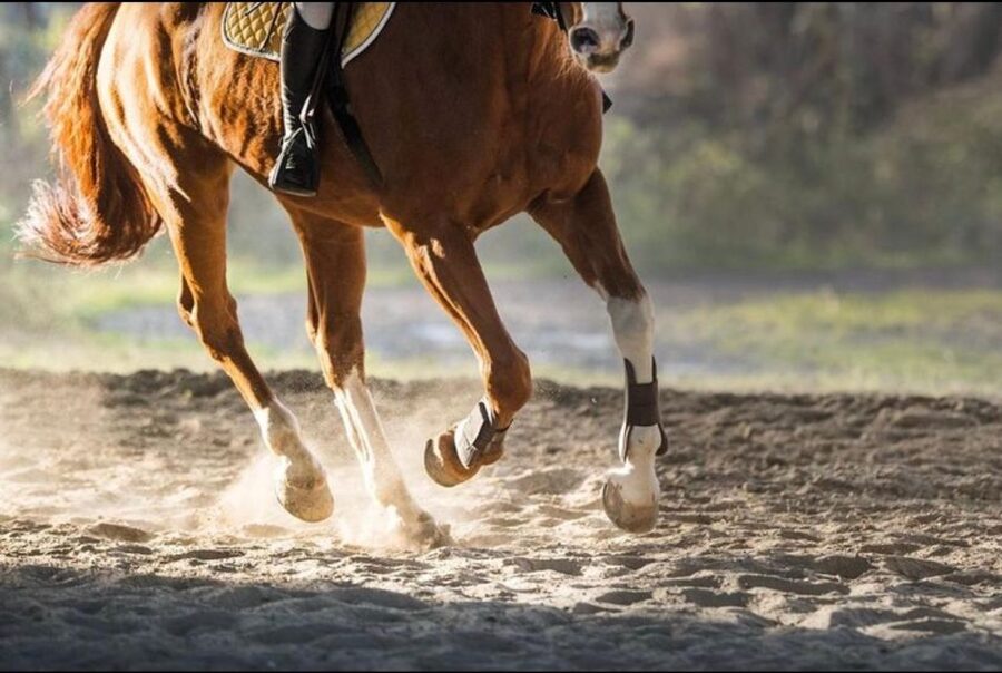 Paros: Morning Island Horseback Riding Adventure - Expect rocky ground and gentle hills