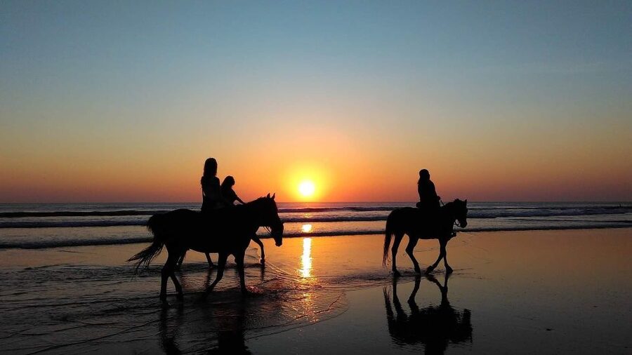Paros: Morning Island Horseback Riding Adventure - Friendly support for first-time riders