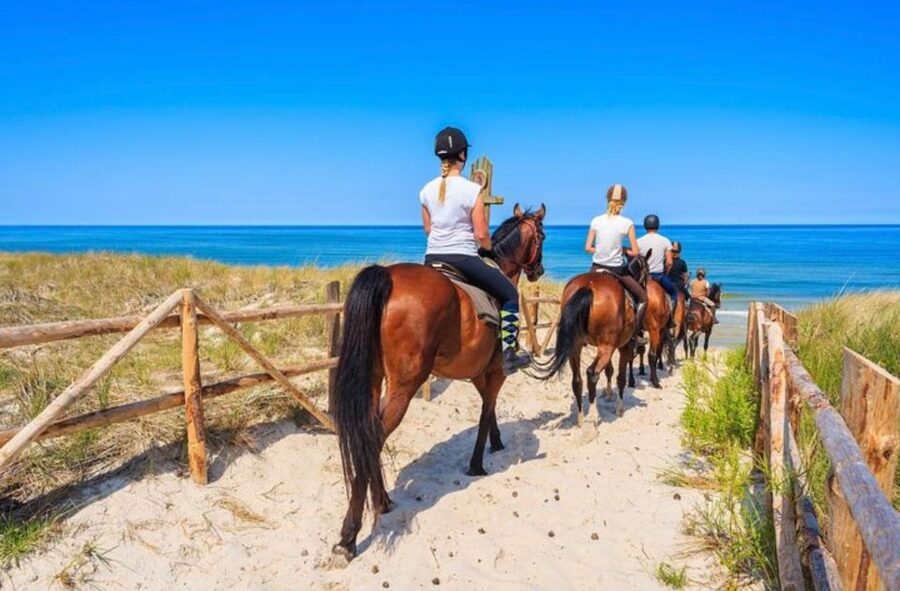 Paros: Morning Island Horseback Riding Adventure - From village roads to fields and the valley