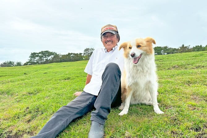 Pasture Hike with Horse Whisperer at Horse Trust in Kagoshima - Walking Through Two to Four Pastures