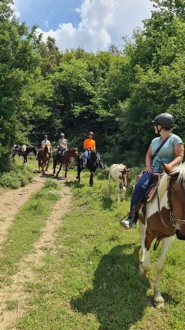 Përmet: Amazing Horse Riding Experience at Vjosa NP - Should you book the Vjosa horse ride?