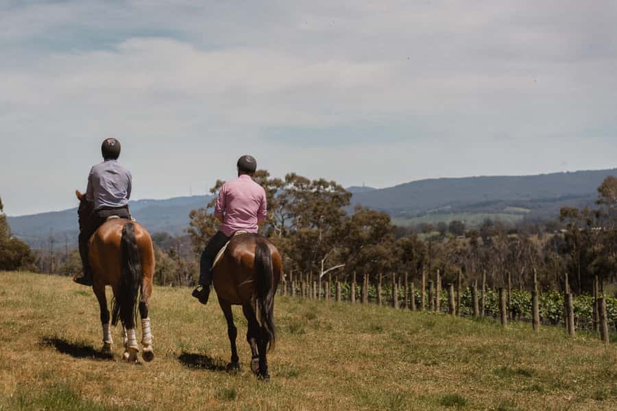 Petaluma: Horseback Riding and Wine Tasting Tour - From hitching rail to cellar door