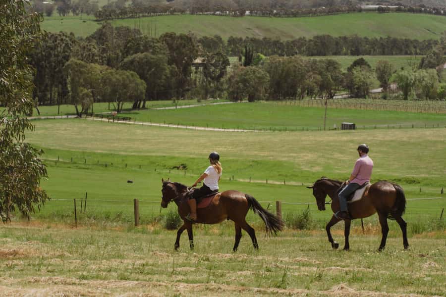 Petaluma: Horseback Riding and Wine Tasting Tour - Petaluma and Croser wines after the saddle