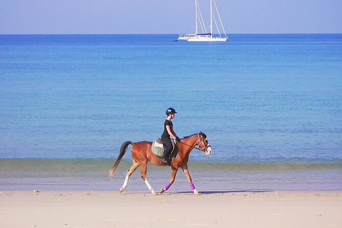 Phuket Beach and Horse Rides 1 Hour Experience - A gentle ride from stable to sea