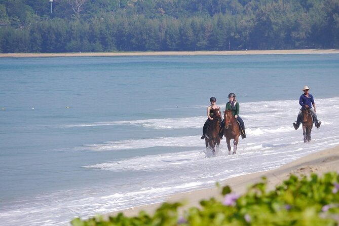 Phuket Beach and Horse Rides 1 Hour Experience - A good first ride, not a free-range horseback adventure