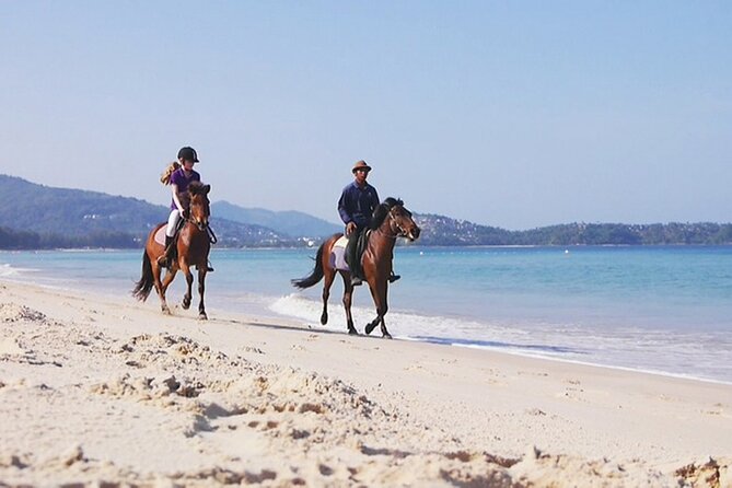 Phuket Beach and Horse Rides 1 Hour Experience - The horses and the care after riding