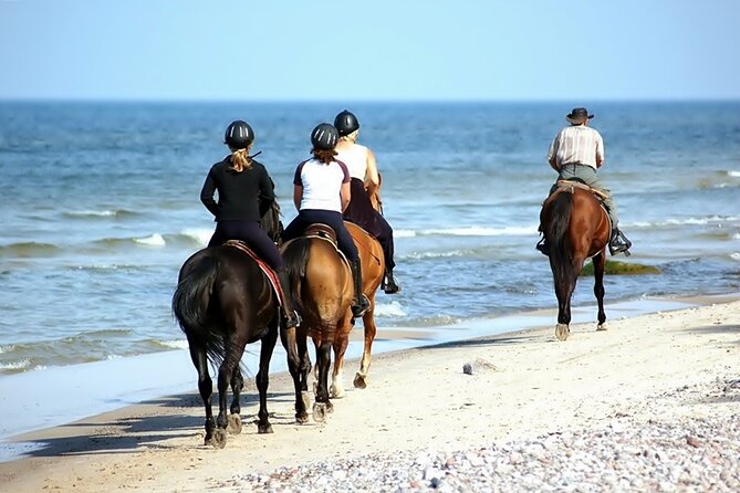 Phuket Beach and Horse Rides 1 Hour Experience - The main drawbacks to consider