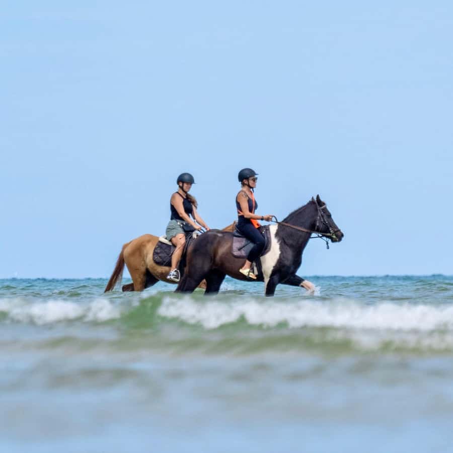 Phuket Beach Horseback Adventure - Planning your arrival at COLTS Horse Riding