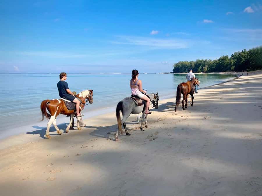 Phuket Beach Horseback Adventure - From the stable through the gardens to the sand