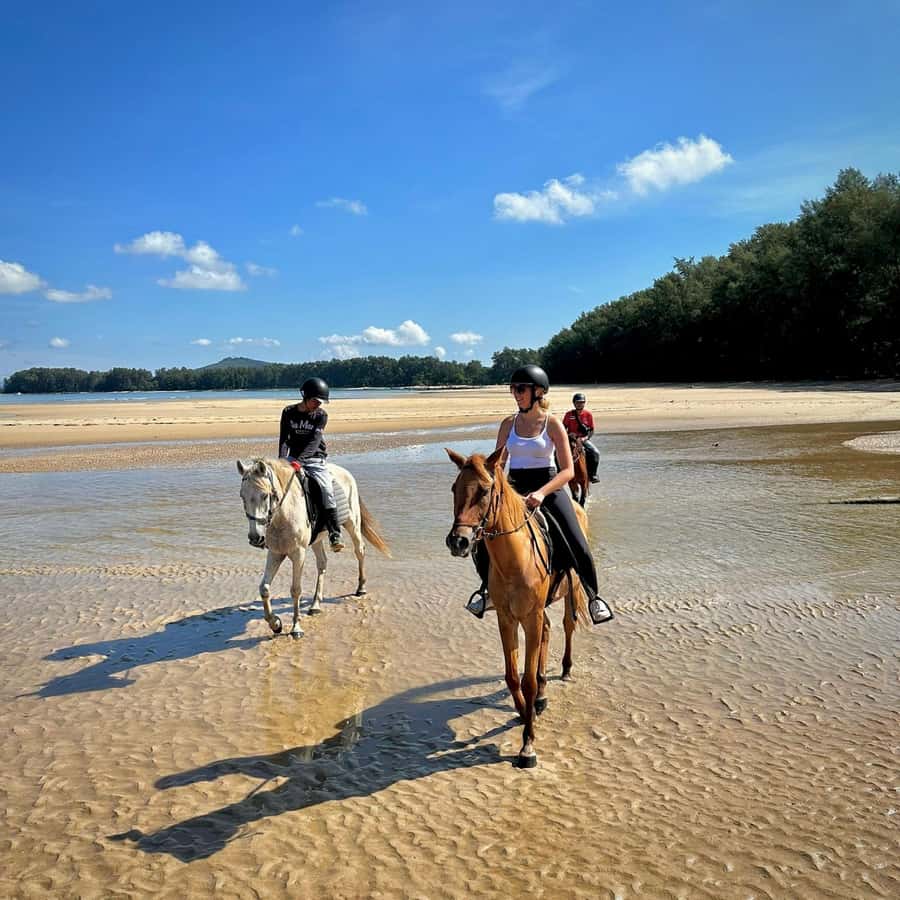 Phuket Beach Horseback Adventure - Choosing between sunrise and sunset