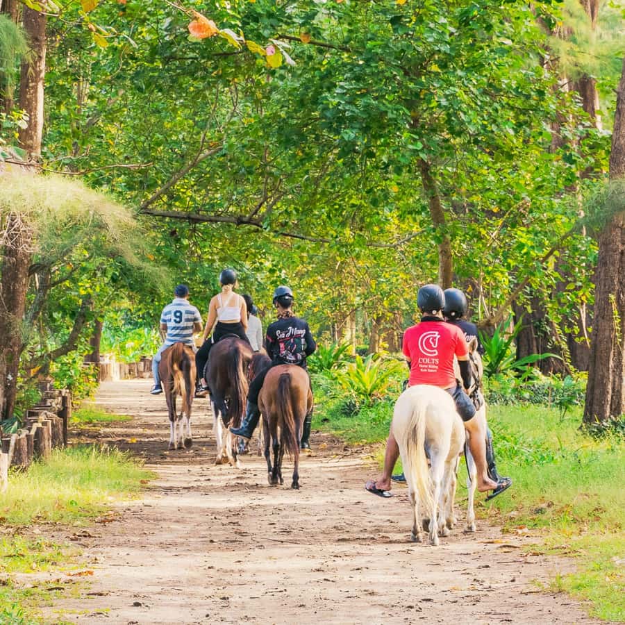 Phuket Beach Horseback Adventure - Is $75 a fair price?