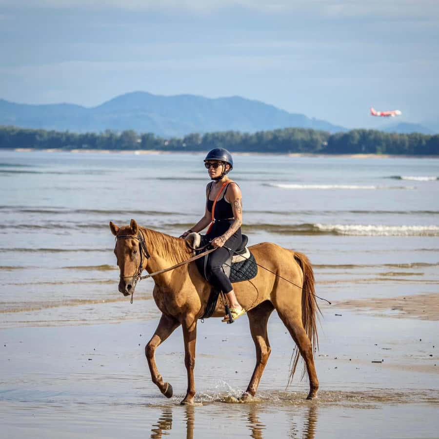 Phuket Beach Horseback Adventure - Who should book this ride?