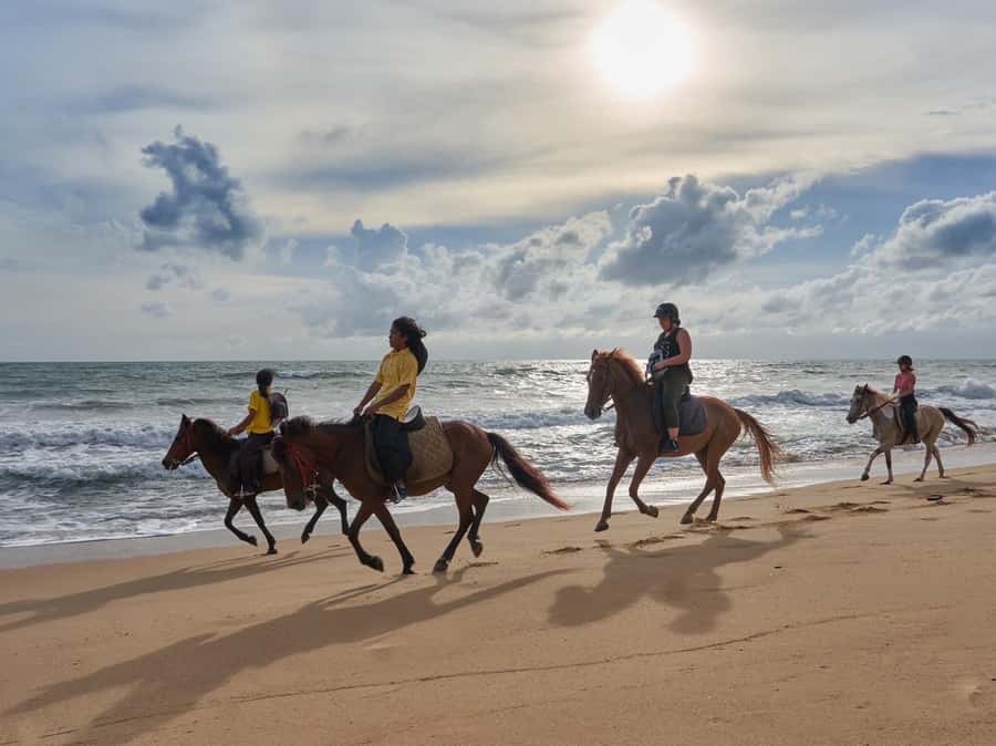 Phuket: Kamala Beach Horse Riding Activity - Key points to know before booking