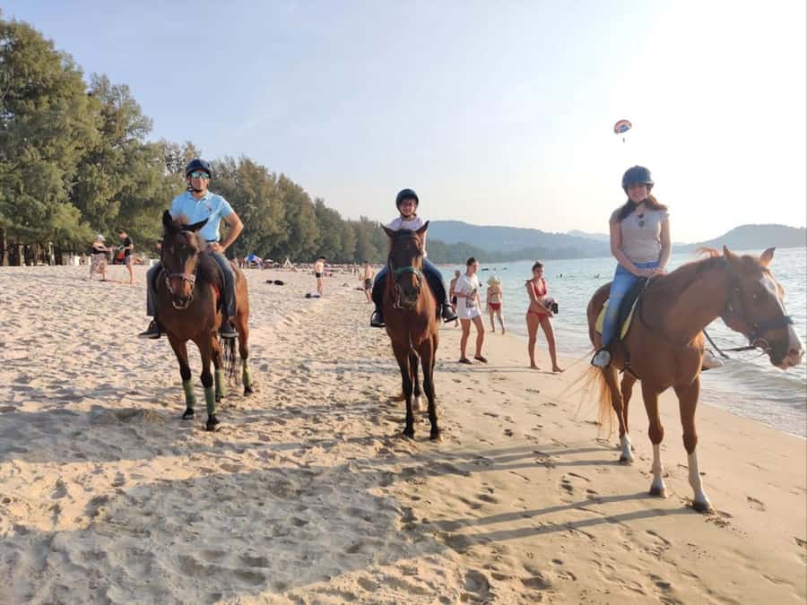 Phuket: Kamala Beach Horse Riding Activity - Meeting the horses at Kamala Horse Riding Club
