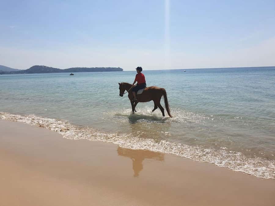 Phuket: Kamala Beach Horse Riding Activity - The horses and the stable experience