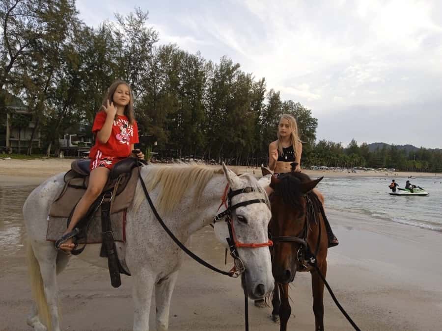 Phuket: Kamala Beach Horse Riding Activity - Who will enjoy this Kamala Beach ride?