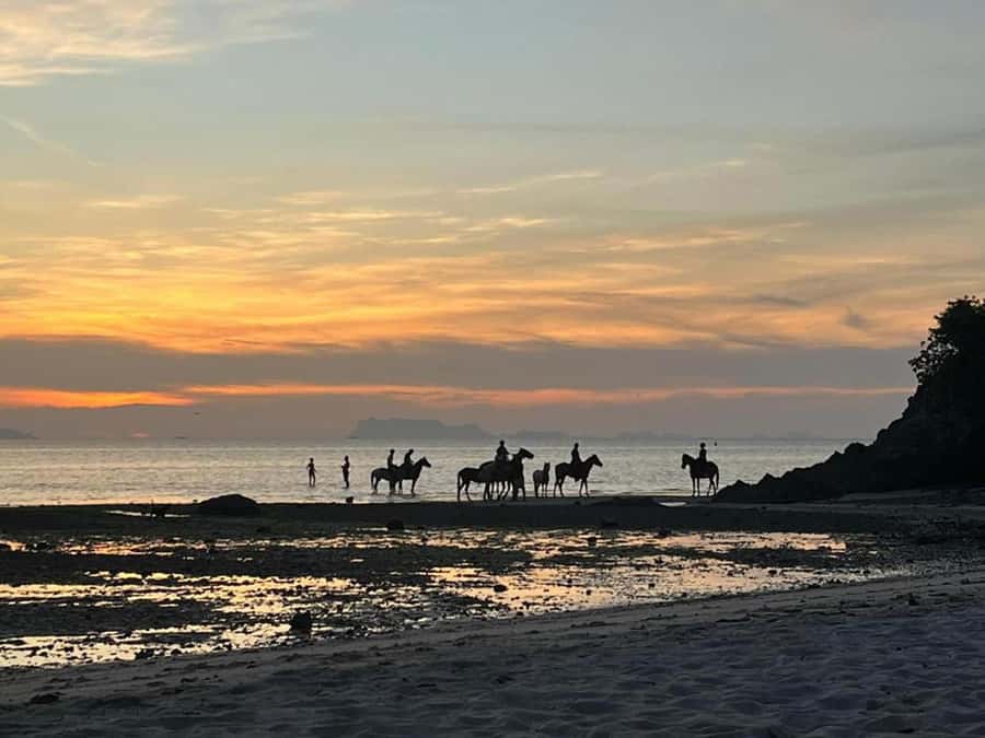 Phuket: Sunset Beach Horseback Journey - From the Stable to Nai Yang Beach