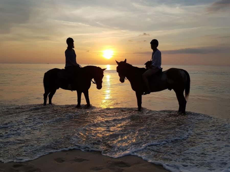 Phuket: Sunset Beach Horseback Journey - The Sunset Stretch at Nai Yang Beach