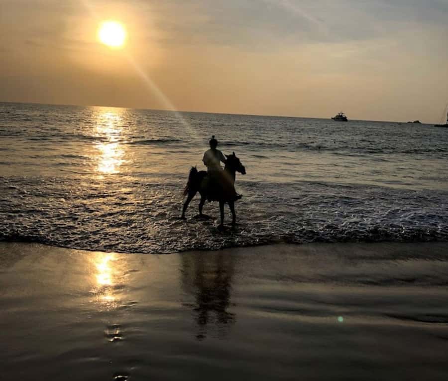 Phuket: Sunset Beach Horseback Journey - Safety Matters More Than the Sunset