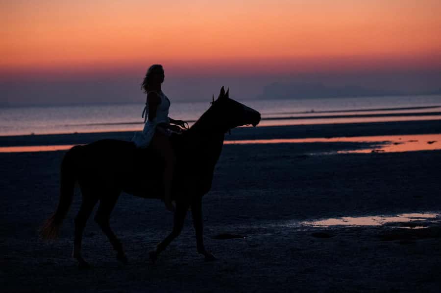 Phuket: Sunset Beach Horseback Journey - Practical Tips for a Better Evening