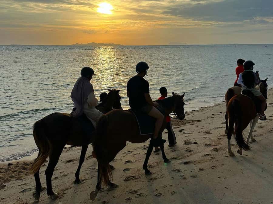 Phuket: Sunset Beach Horseback Journey - Should You Book the Phuket Sunset Beach Horseback Journey?
