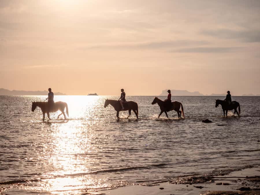 Phuket: Sunset Beach Horseback Journey - FAQ