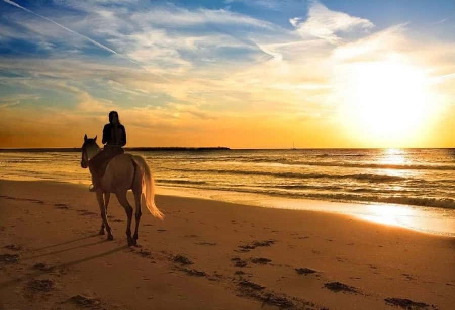 Phuket: Sunset Beach Horseback Journey - Can You Ride Into the Sea?